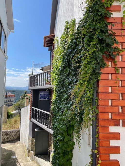 Casa Da Portela بيناكوفا المظهر الخارجي الصورة